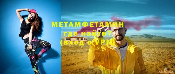 индика Елизово