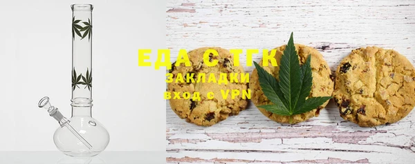 индика Елизово