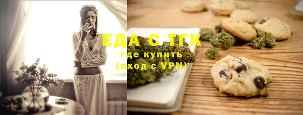 индика Елизово