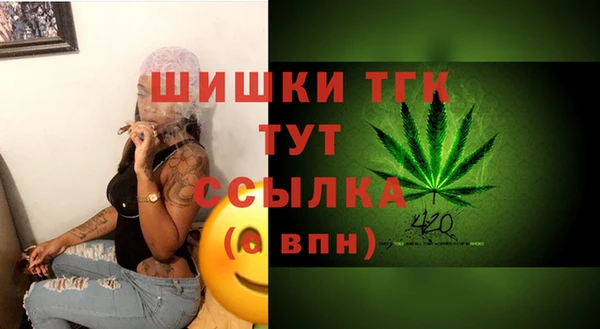 дживик Ельня