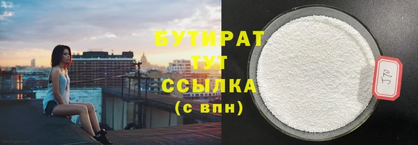 индика Елизово