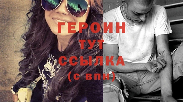 индика Елизово