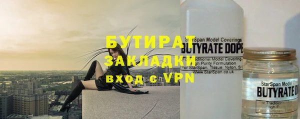 индика Елизово
