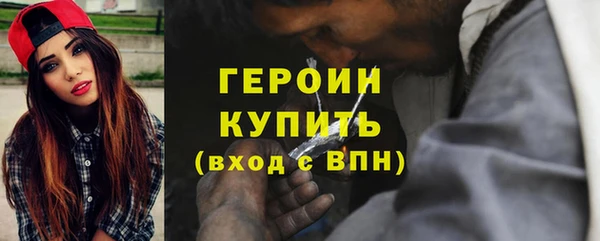 дживик Ельня