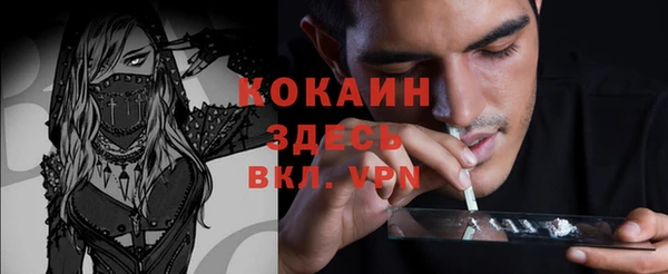 дживик Ельня