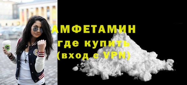 дживик Ельня