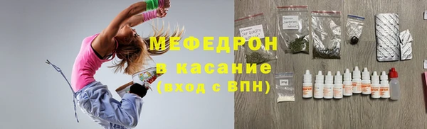 дживик Ельня