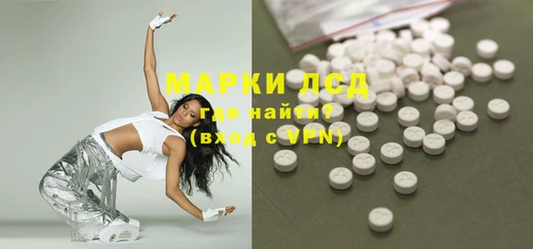 дживик Ельня