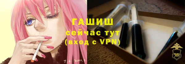 индика Елизово