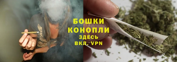 индика Елизово