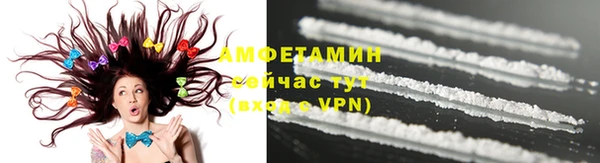 индика Елизово