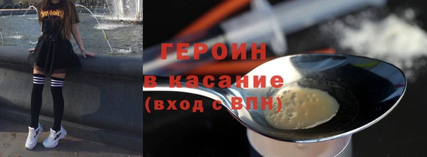 дживик Ельня