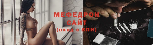 дживик Ельня