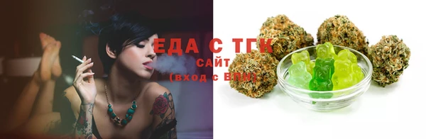 индика Елизово
