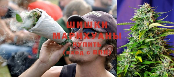 дживик Ельня