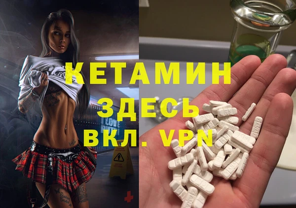дживик Ельня