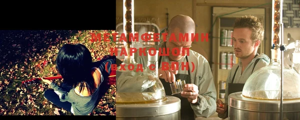 индика Елизово