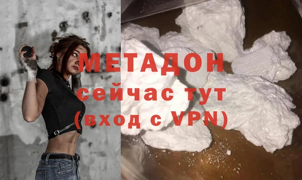 дживик Ельня