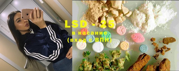 индика Елизово