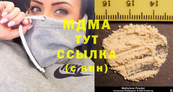индика Елизово