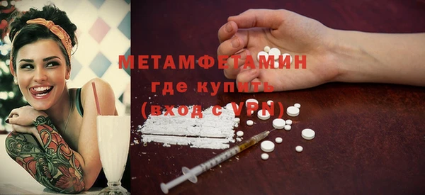 индика Елизово