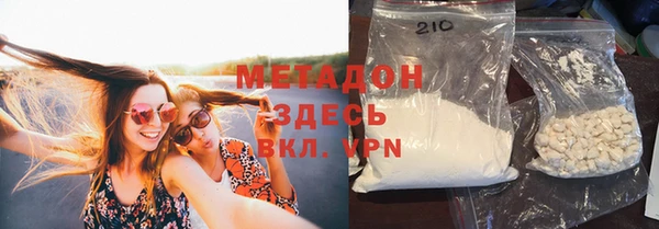 дживик Ельня