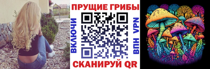 Псилоцибиновые грибы GOLDEN TEACHER Ворсма